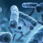 Read more about the article The Significance of Legionella Along With Its Risks, And Treatment
