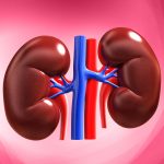 Read more about the article World Kidney Day 2025: Theme, Kidney Risks, & Significance Of The Day
